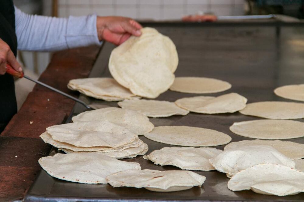 Estos tips te pueden ayudar para identificar qué tipo de tortilla consumes | Foto: EsImagen