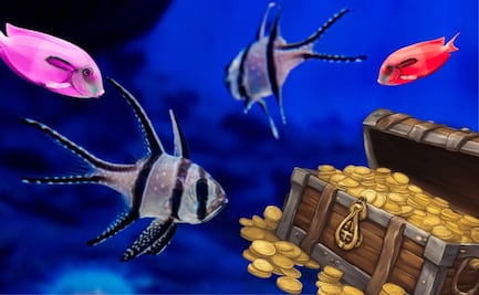 Acuario Michin Puebla tiene una promoción si llegas en estos horarios