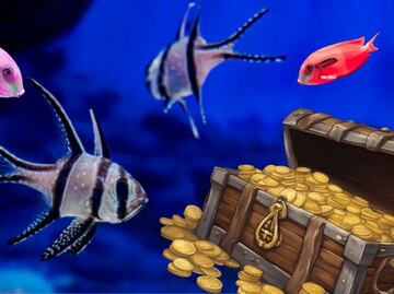 Acuario Michin Puebla tiene una promoción si llegas en estos horarios