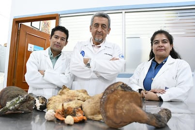 BUAP rescata saberes ancestrales sobre hongos silvestres en La Malinche