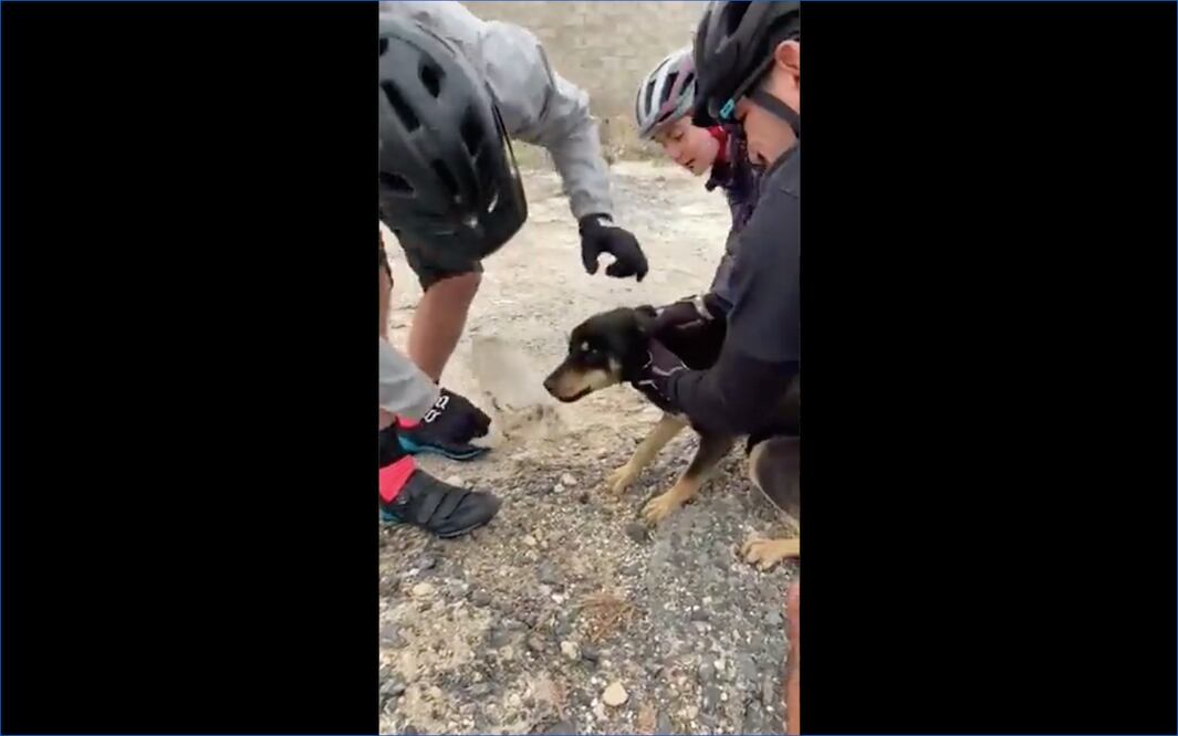 Lomito se atora en botella de pet; lo rescatan ciclistas en Querétaro