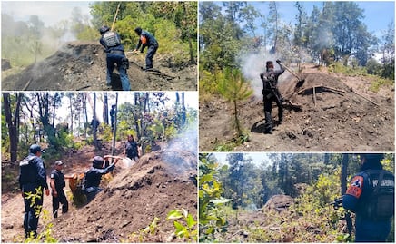 Inhabilita SSP hornos para la deshidratación ilegal de madera