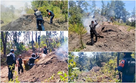 Inhabilita SSP hornos para la deshidratación ilegal de madera