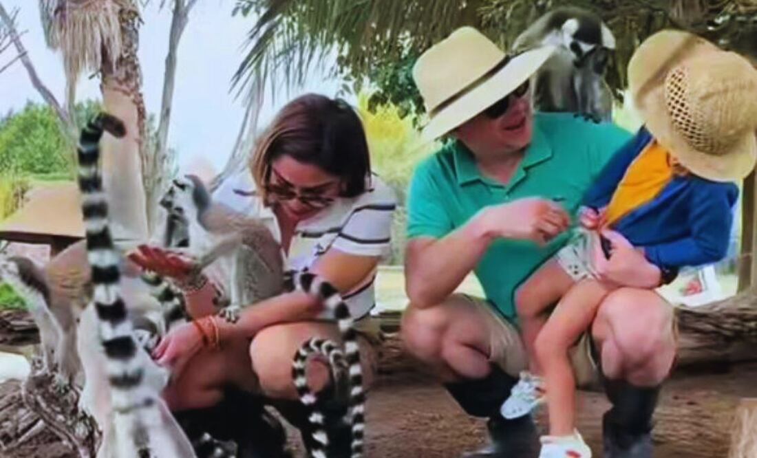 En Africam Safari podrás convivir con los famosos lémures de Madagascar | Foto: TikTok Africam Safari