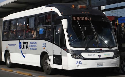 ¿Pueden ingresar las mascotas al RUTA en Puebla?