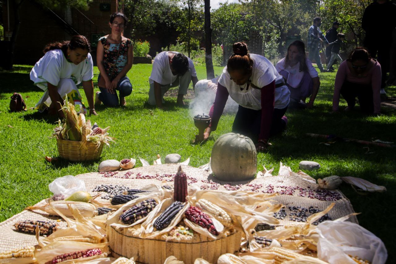 En Puebla hay un municipio donde se reportó el origen del maíz | Agencia Es Imagen para El Universal Puebla