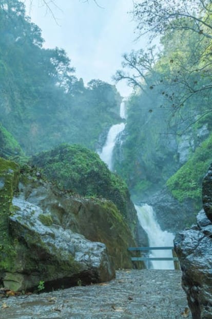 Foto: iStock