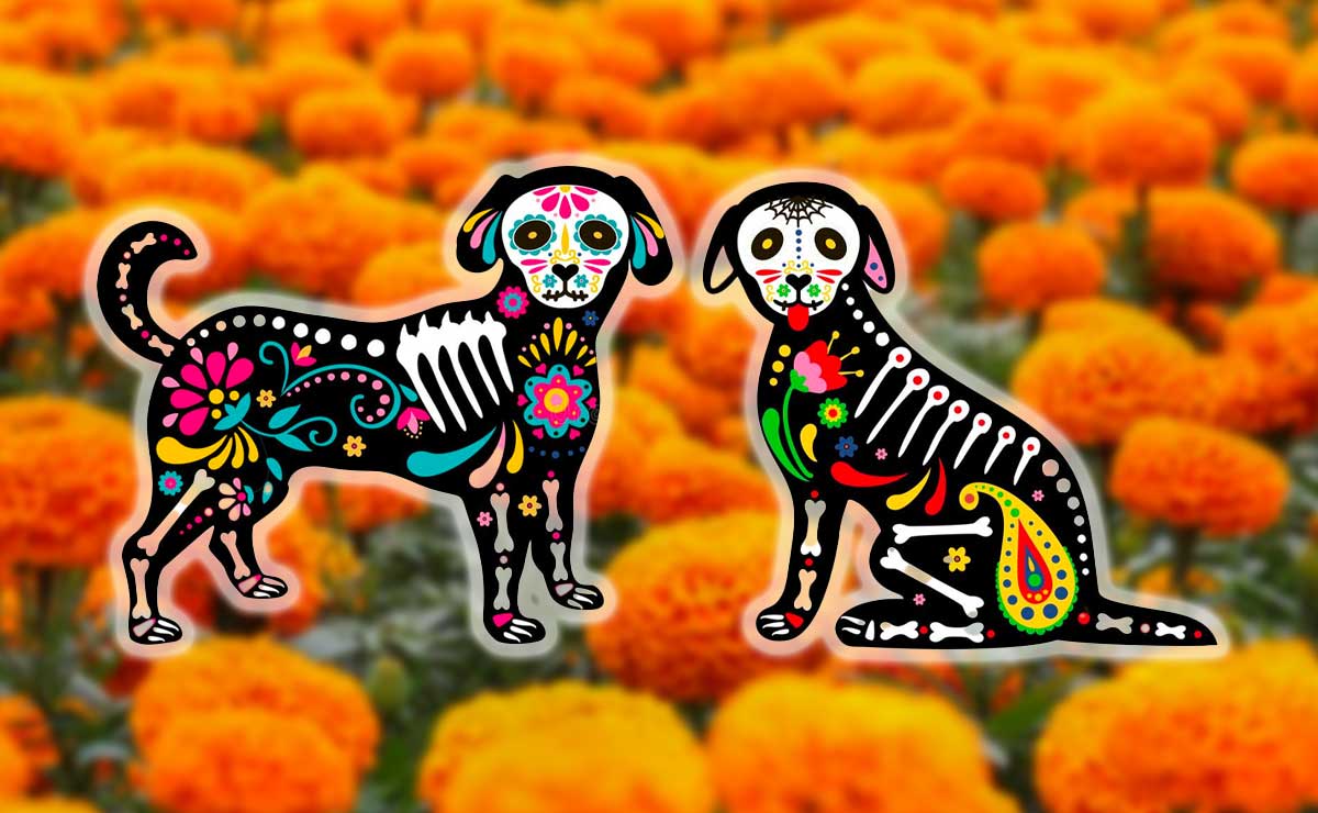 Día de las mascotas muertas. Estas son las mejores ofrendas