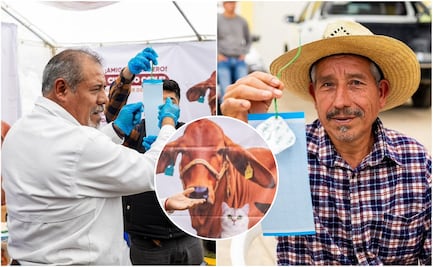 Refuerza Gobierno Estatal prevención del gusano barrenador en la Sierra Negra