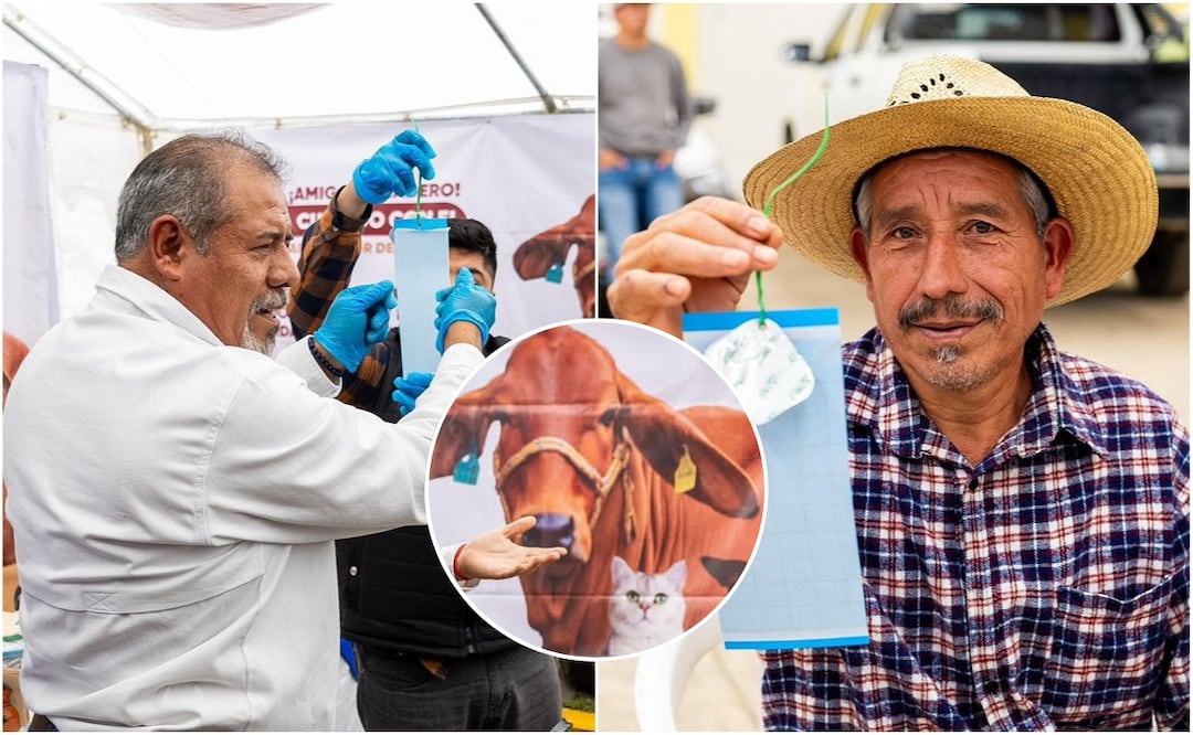 En las jornadas participaron 5 municipios y siete juntas auxiliares | Foto: Gobierno del Estado