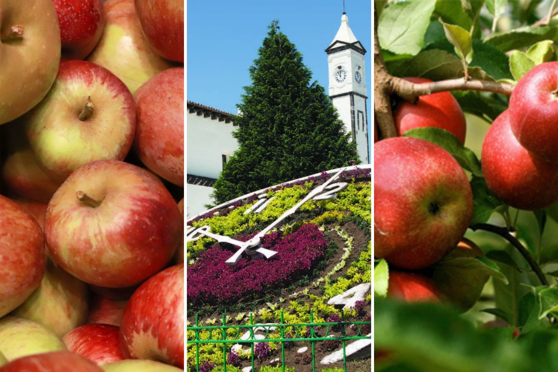 Este Pueblo Mágico de Puebla es reconocido a nivel mundial por sus manzanas