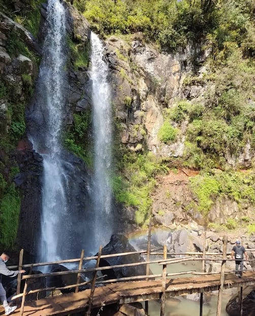 Honey | Foto: Google Maps