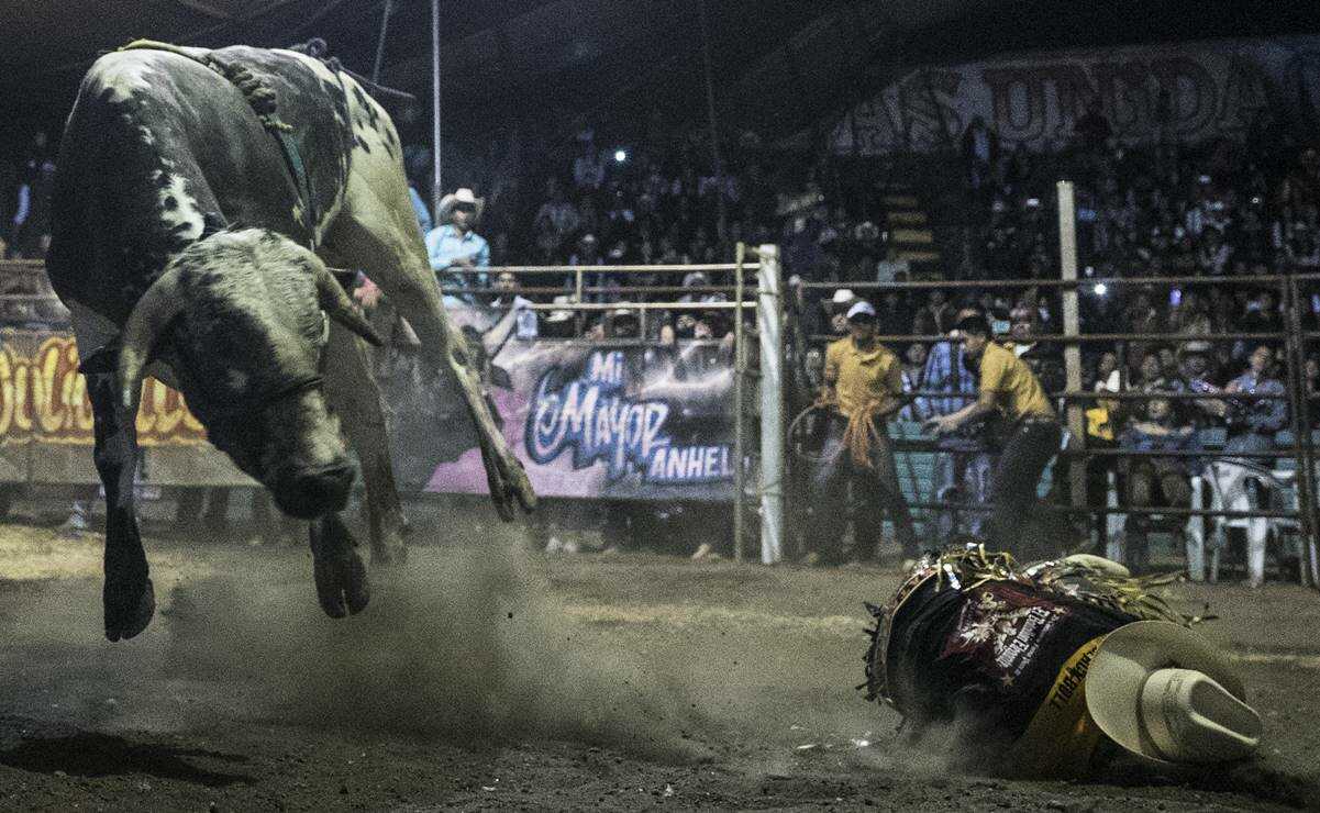 Por 30 mil pesos, niños montan toros en los jaripeos