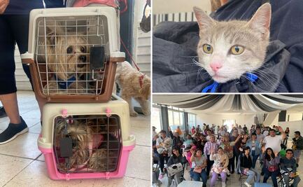 Gran Jornada de Bienestar Animal en San José Xilotzingo y Parque Centenario Laguna de Chapulco