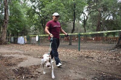 ¿Me pueden multar en Puebla si mi perro ladra mucho?