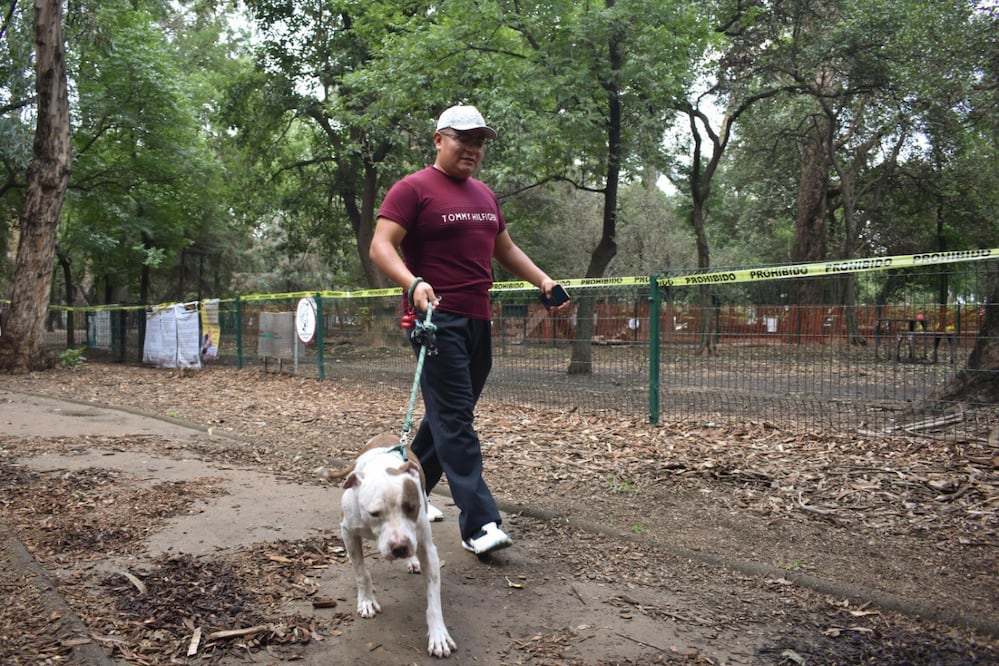 Después de lo ocurrido en Guanajuato, será mejor que cuides el comportamiento de tu mascota | Foto: EsImagen
