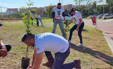 Plantan 4 mil árboles en la capital de Puebla