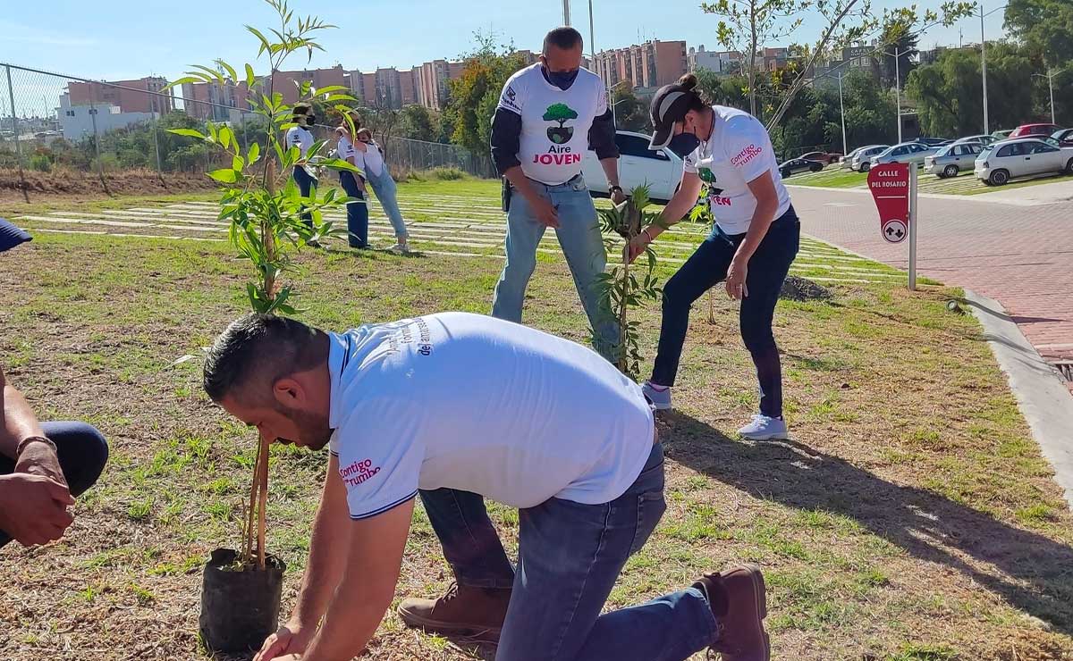 Plantan 4 mil árboles en la capital de Puebla