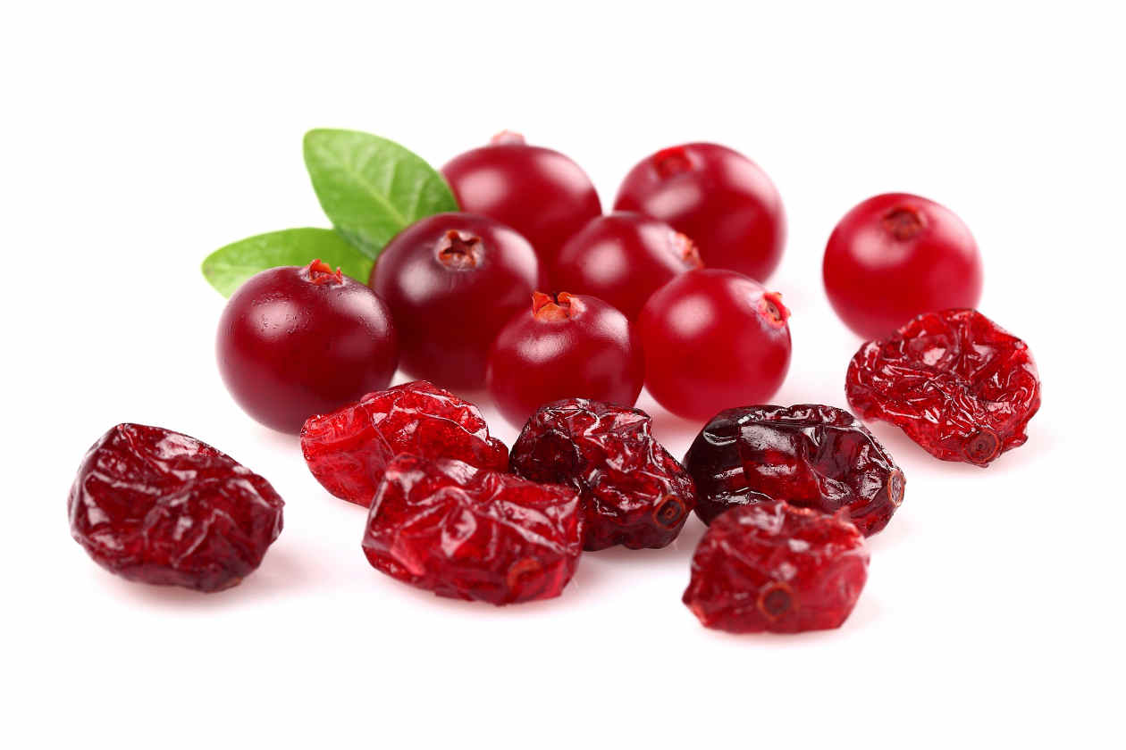 En general, los arándanos son una opción nutritiva y deliciosa que puede añadirse fácilmente a la dieta diaria para promover la salud y el bienestar a largo plazo. 

Foto: Producción El Universal Puebla