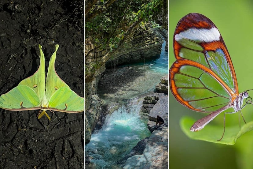 Bosque de las Hadas en Puebla: un lugar de ensueño que ni Google conoce