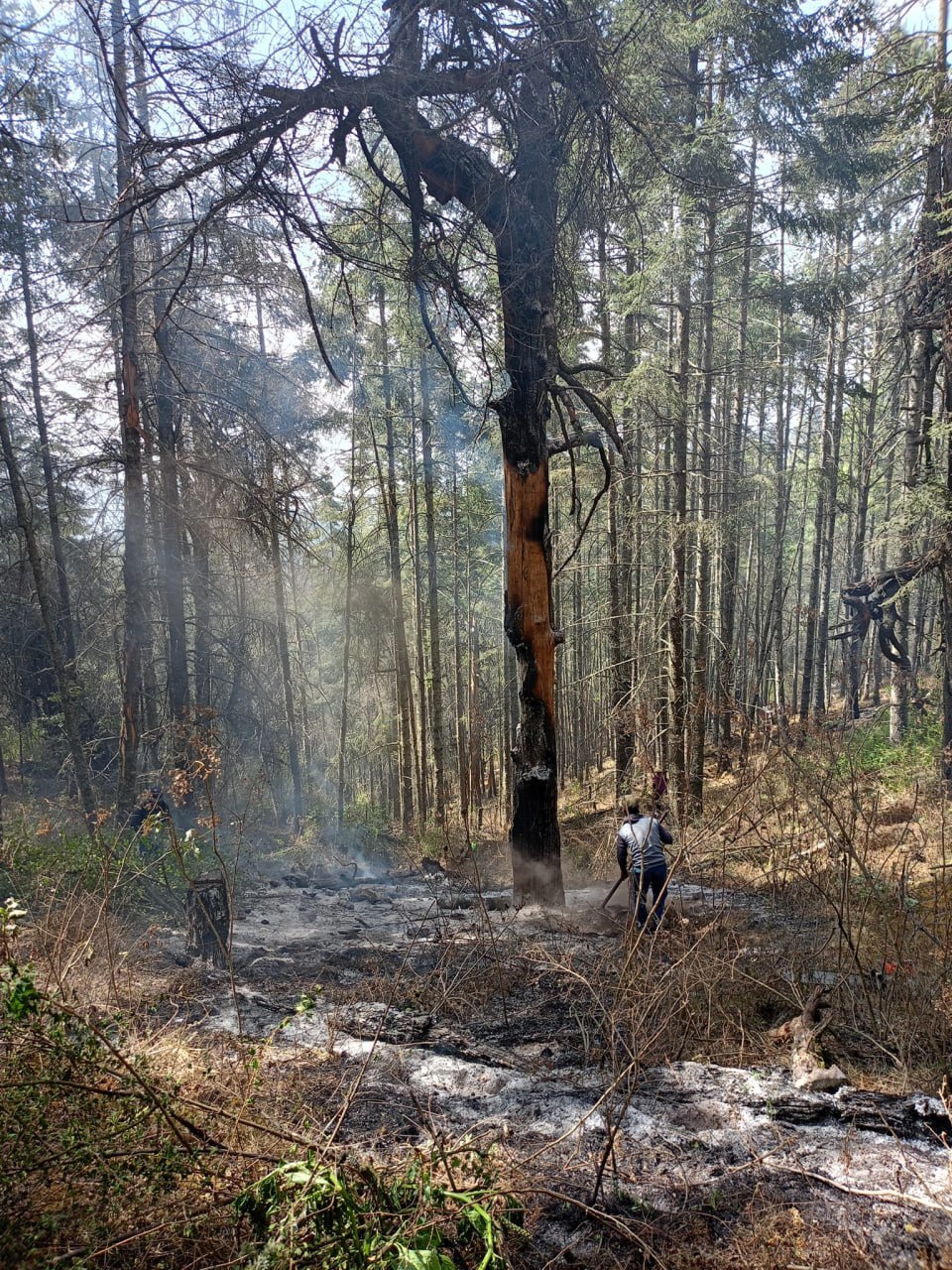 En el incendio de Libres laboran cuerpos de emergencia y voluntarios | Foto: Las Chapas, Libres, Pue.
