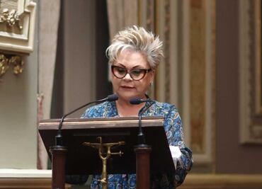 Autorizan licencia indefinida a la diputada priista Isabel Merlo