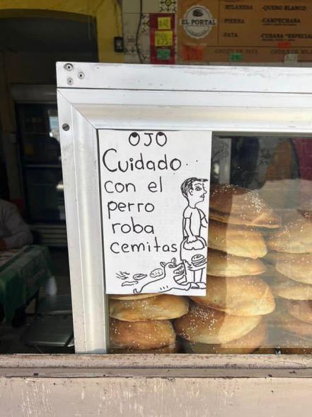 Graban en acción al perro roba-cemitas