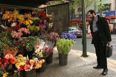  ¿Por qué se regalan rosas el 14 de febrero?