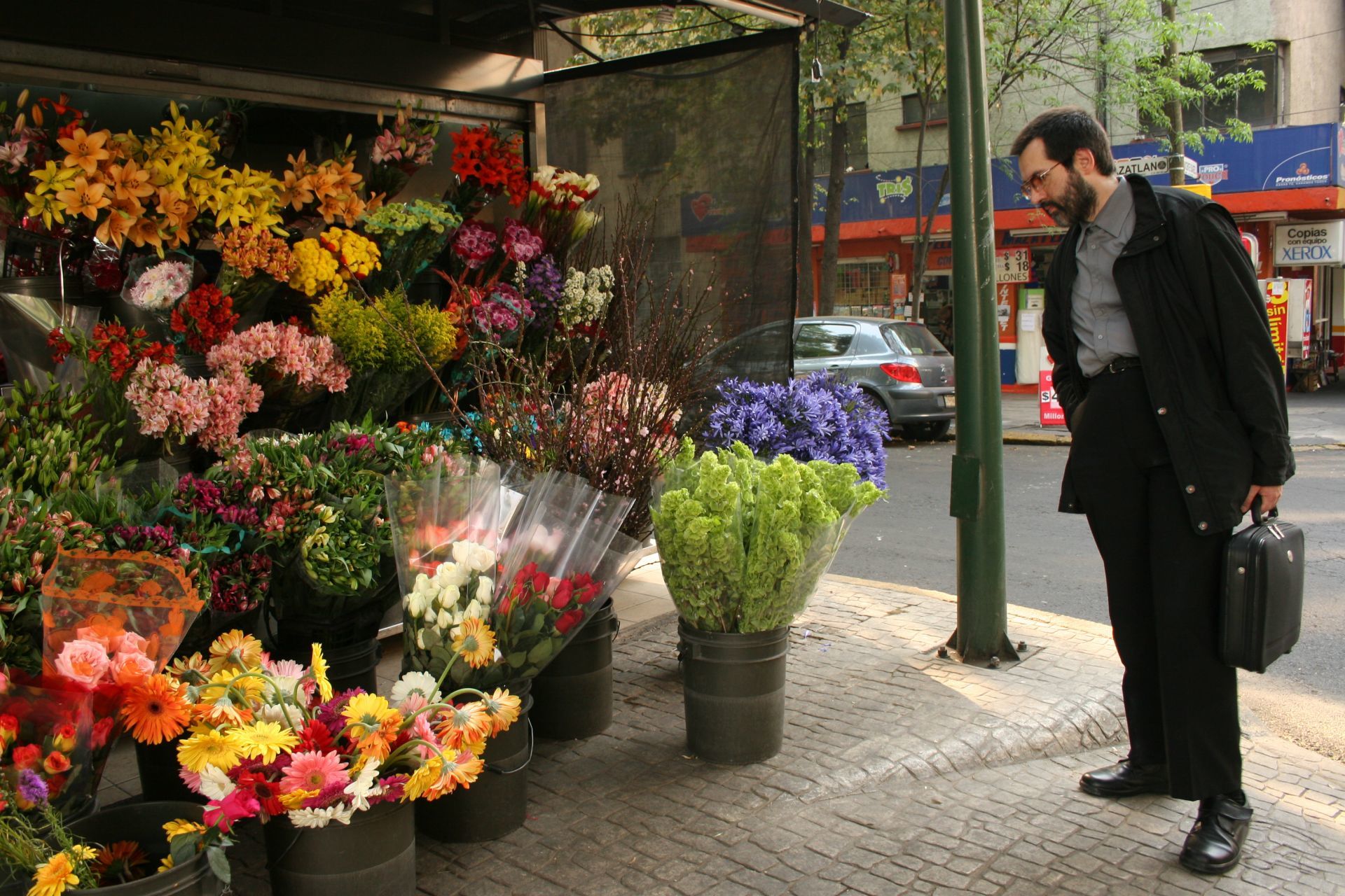 ¿Por qué se regalan rosas el 14 de febrero?