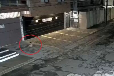 Bebé cae desde un balcón en Puebla y así fue captado el momento | VIDEO