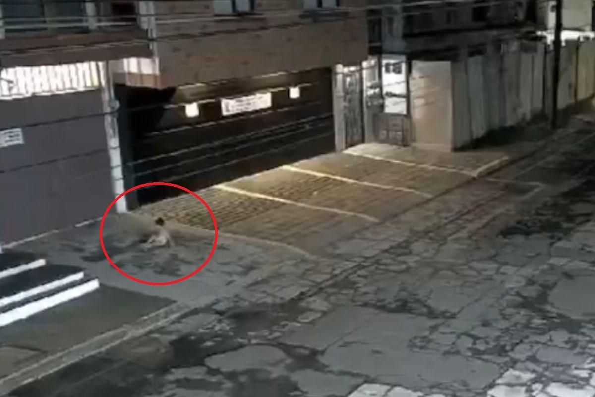 Según los vecinos del área, la madre del niño estaba bajo la influencia del alcohol y no se percató de lo sucedido. 
Foto: Producción El Universal Puebla