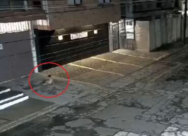 Bebé cae desde un balcón en Puebla y así fue captado el momento | VIDEO