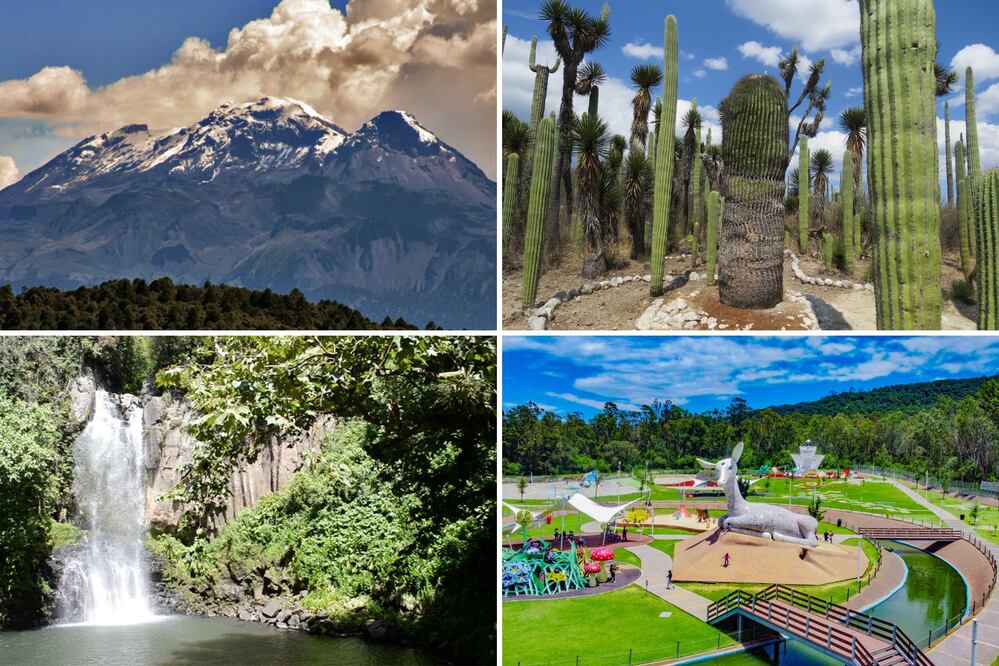 Puebla tiene tesoros naturales que son patrimonio | Foto: Gobierno de México / Parque Estatal Flor del Bosque