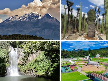 ¿Cuál es el patrimonio natural de Puebla? Estos son sus tesoros verdes