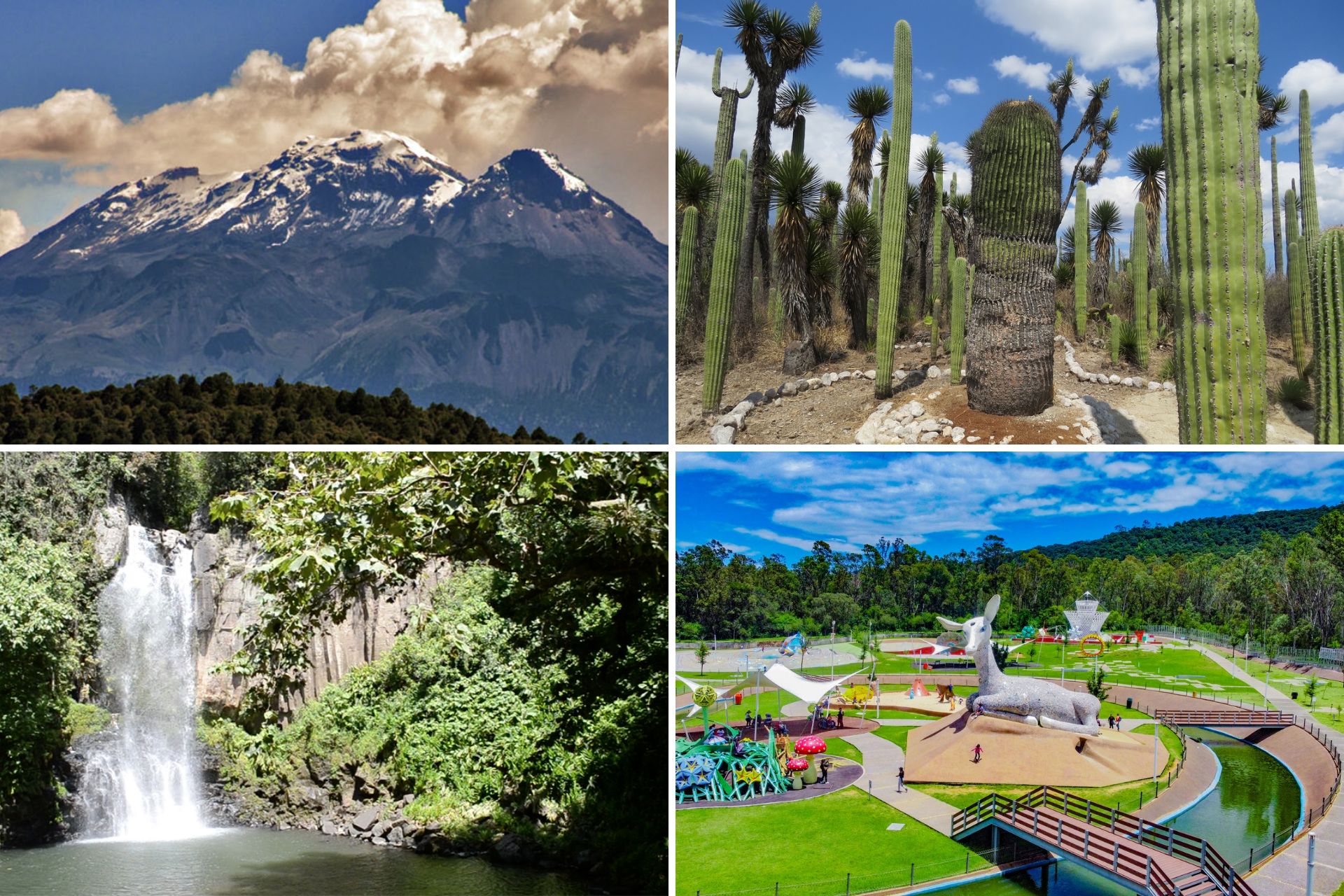 ¿Cuál es el patrimonio natural de Puebla? Estos son sus tesoros verdes