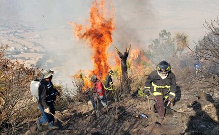 Hay seis incendios forestales activos en Puebla