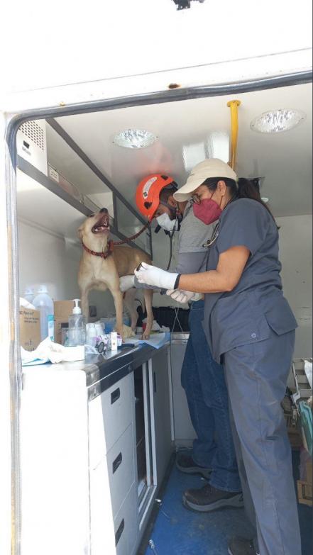 "Esponjoso” uno de los sobrevivientes de la explosión de Xochimehuacán