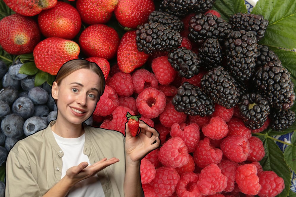 La Feria de las Berries 2025 promete sorprender con su deliciosa gastronomía | Foto: Freepik / EsImagen
