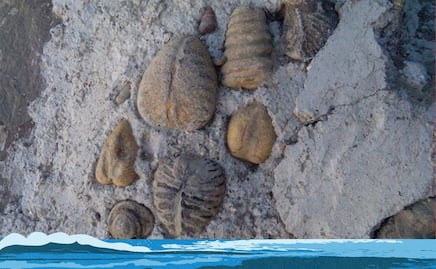 Cómo llegar al municipio de Puebla donde había mar