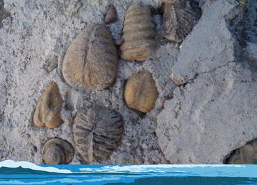 Cómo llegar al municipio de Puebla donde había mar