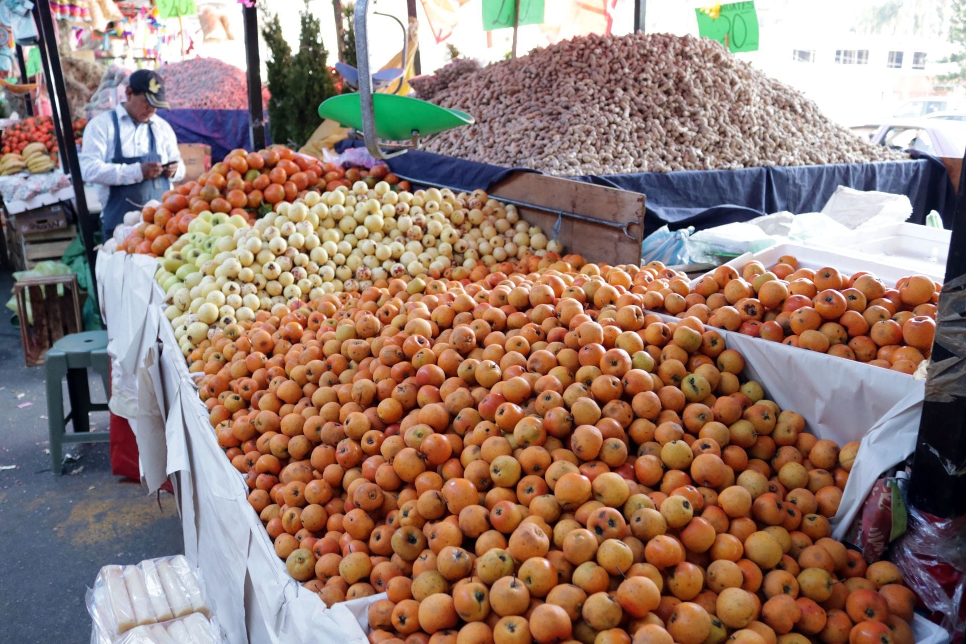 Tejocote. En Puebla se produce 90% de esta fruta mexicana | El ...