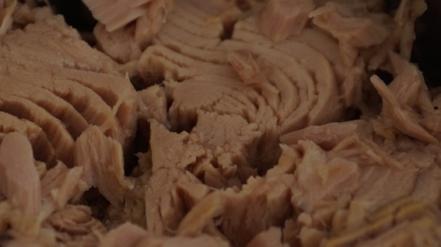 Los beneficios de comer atún ya sea enlatado o fresco 