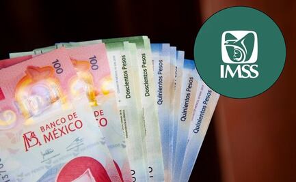 Así puedes simular el monto de tu pensión IMSS en línea