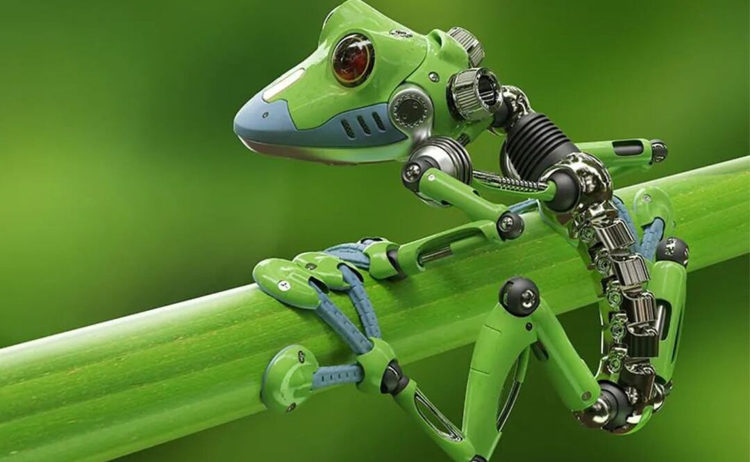 Los xenobots, los primeros robots vivos del mundo, podrían llegar a las grandes ciudades como Puebla en un futuro no tan lejano | Foto: Advanced Science News