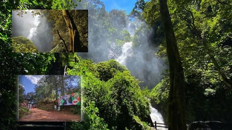 Top 5 de cascadas para visitar en Puebla antes de que acaben las vacaciones