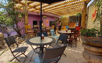 Cómo llegar a las chelas de Irene Garibay de "El diván de Valentina” desde Puebla