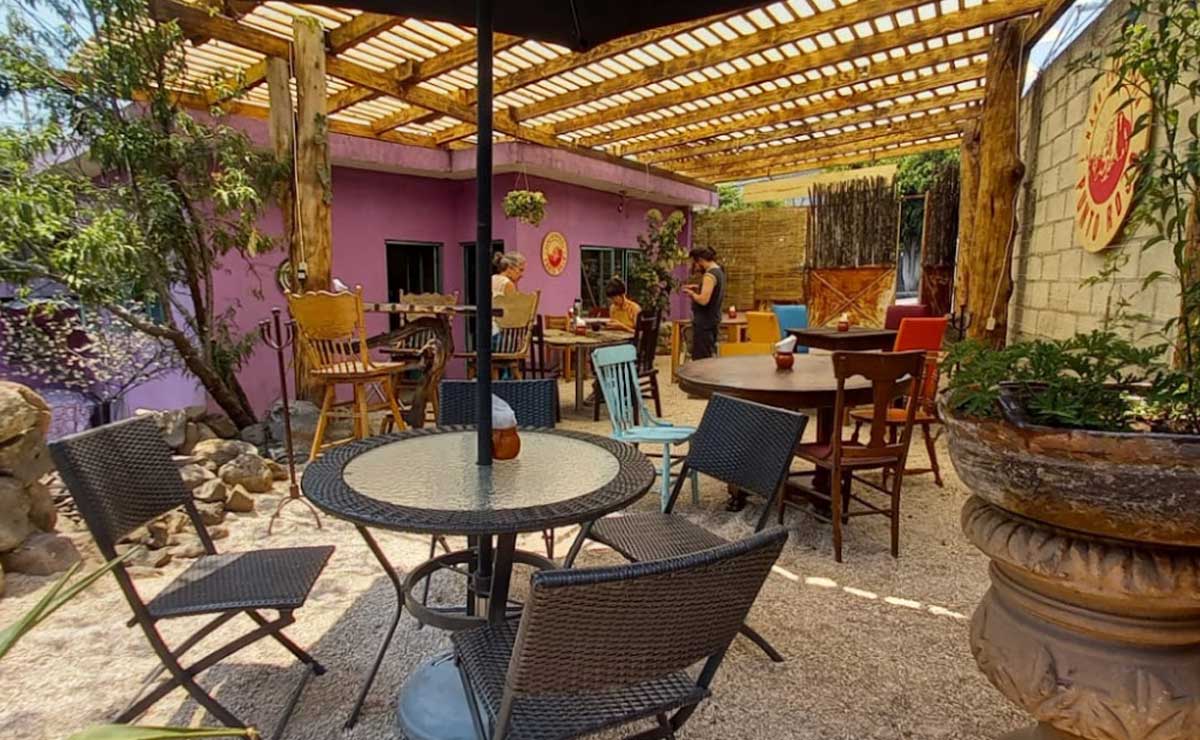 Cómo llegar a las chelas de Irene Garibay de "El diván de Valentina” desde Puebla