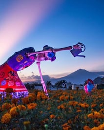 Cinco razones para visitar el maravilloso Valle de Catrinas en Atlixco