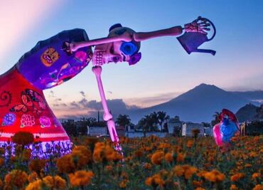 Cinco razones para visitar el maravilloso Valle de Catrinas en Atlixco