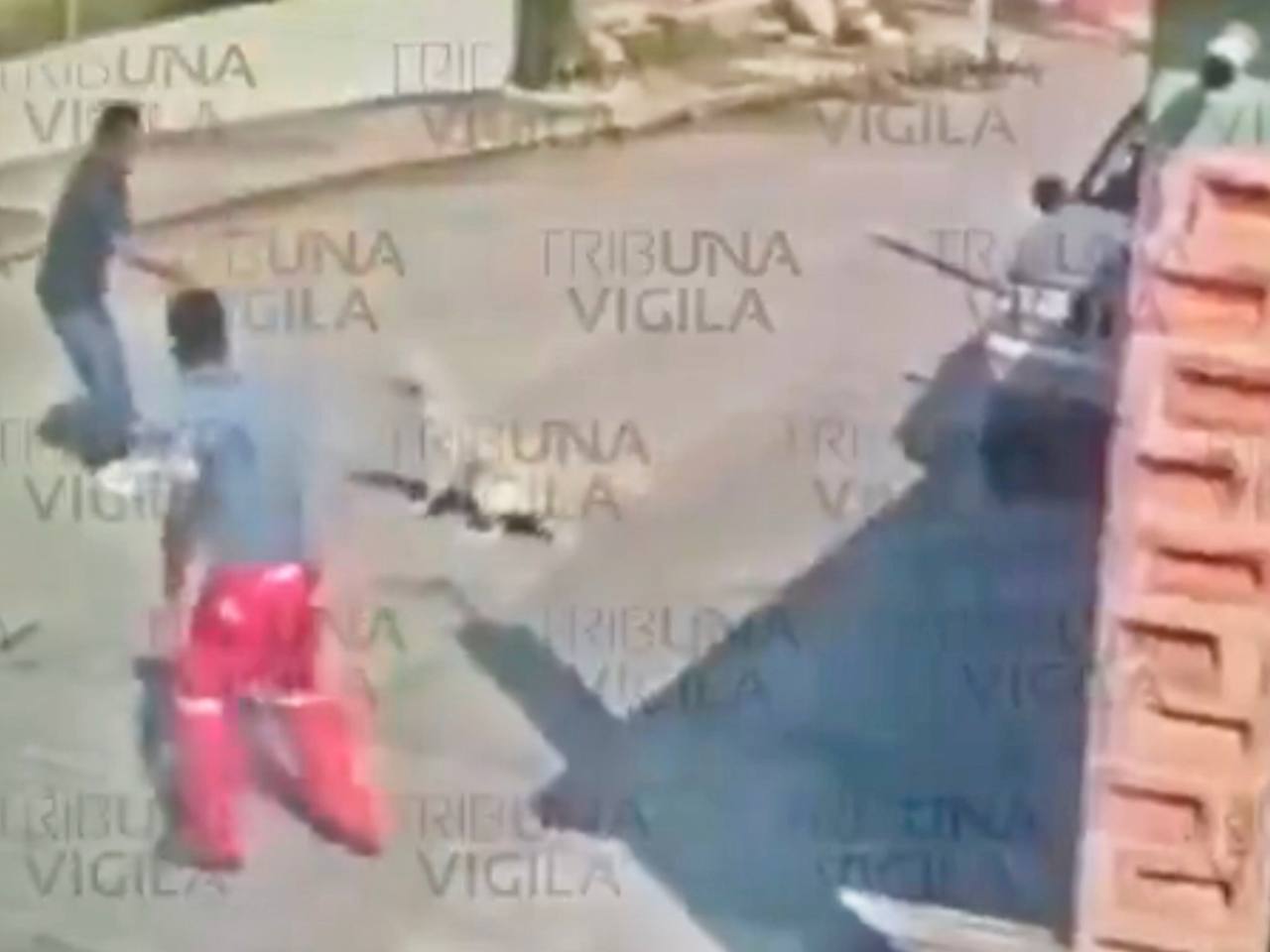 #JusticiaparaGüero, a machetazos matan a perrito en Venustiano Carranza